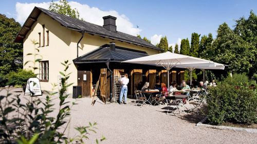 botaniska_trädgården