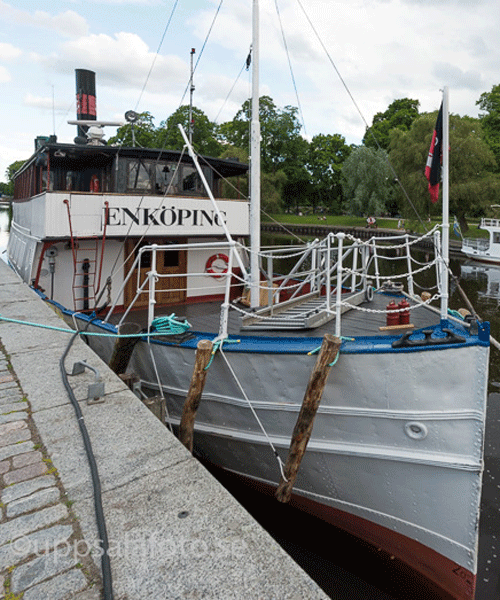 MSenkopingliten