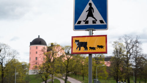vägskylt med Pelle Svanslös-motiv i Uppsala