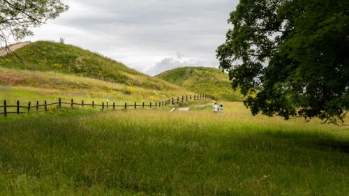 gamla-uppsala-högar