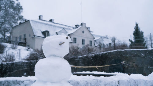 hammarskog-snögubbe