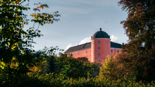 uppsala slott