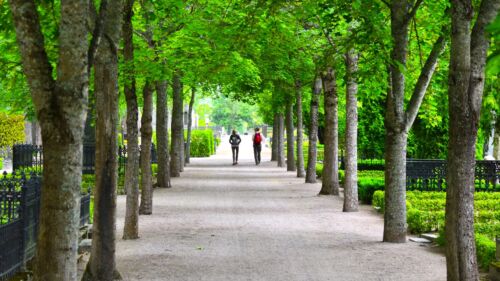 Gamla kyrkogården