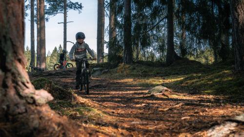 viltvattnet-cykel-stig