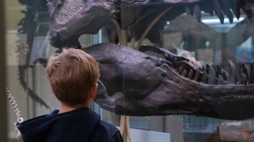museum