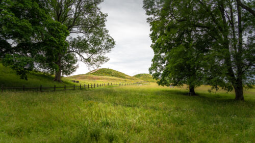 Gamla Uppsala Högar