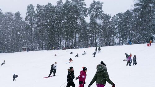 sunnerstagropen-pulka-vinter-sport-fritid-barn_destination-uppsala